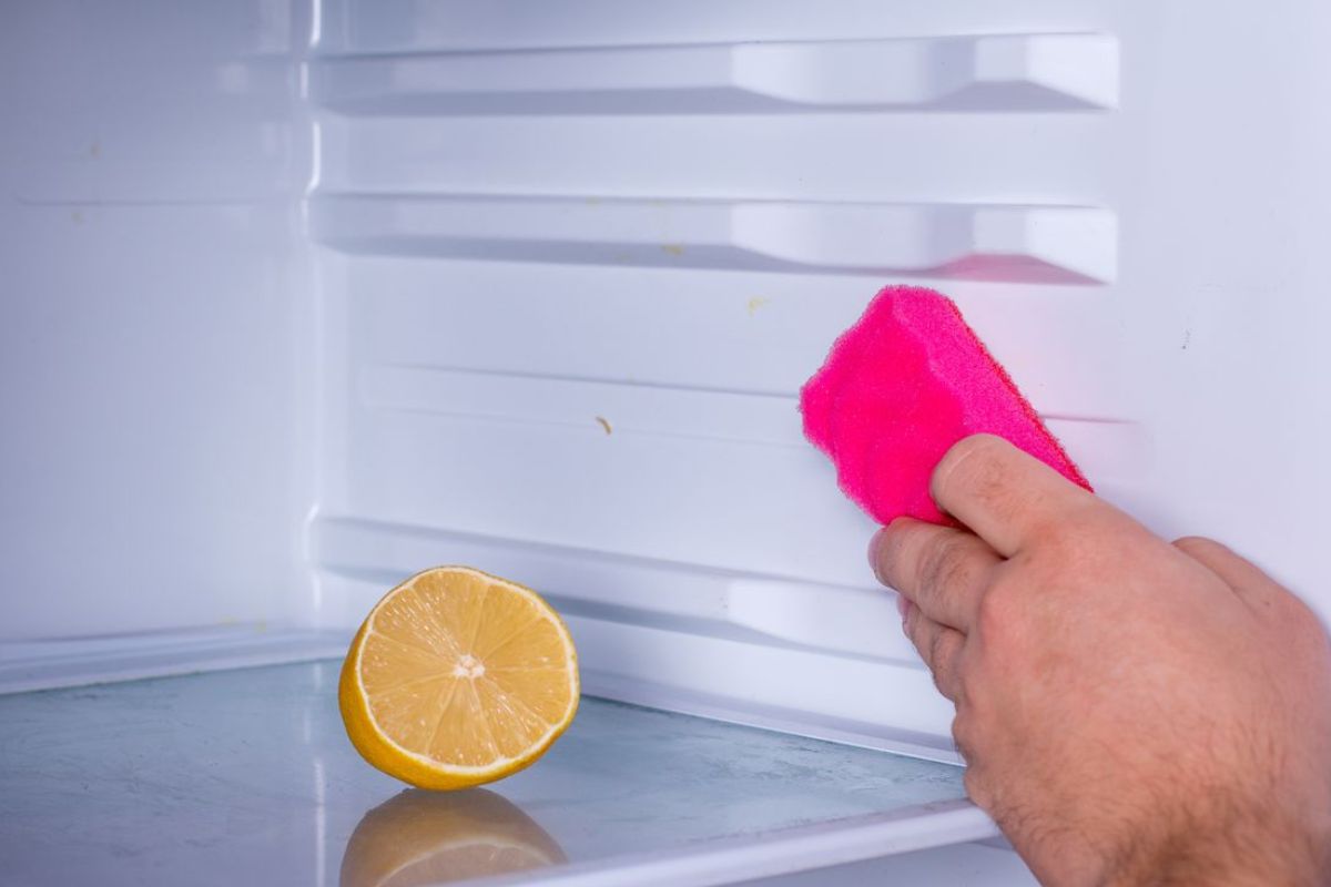 frigo posto che non pulisci mai