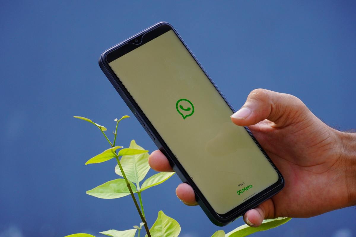 whatsapp regole