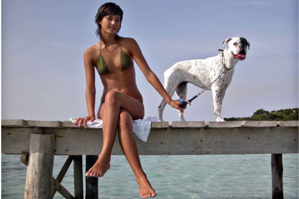 Cani soffrono caldo