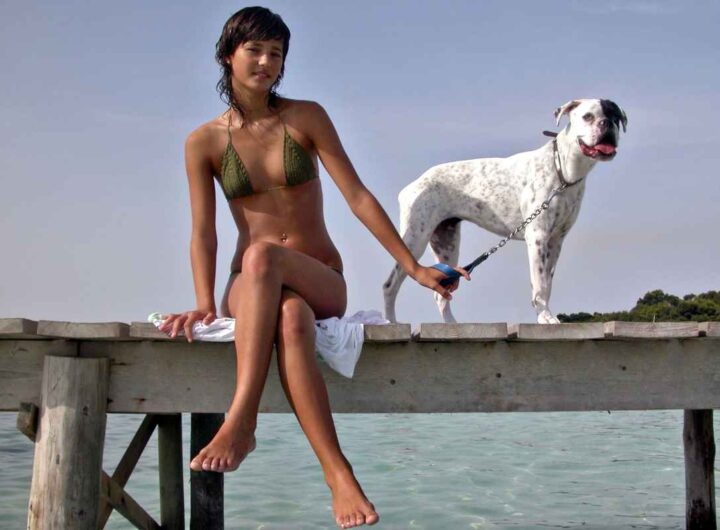 Cani soffrono caldo