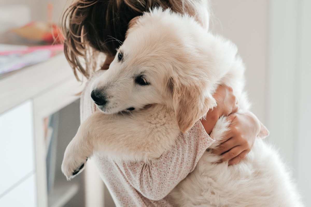 Caldo nemico dei cani