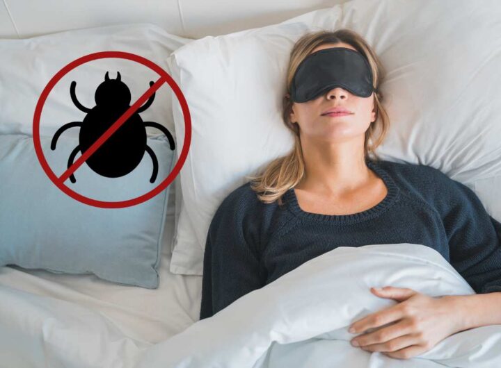 contro gli acari