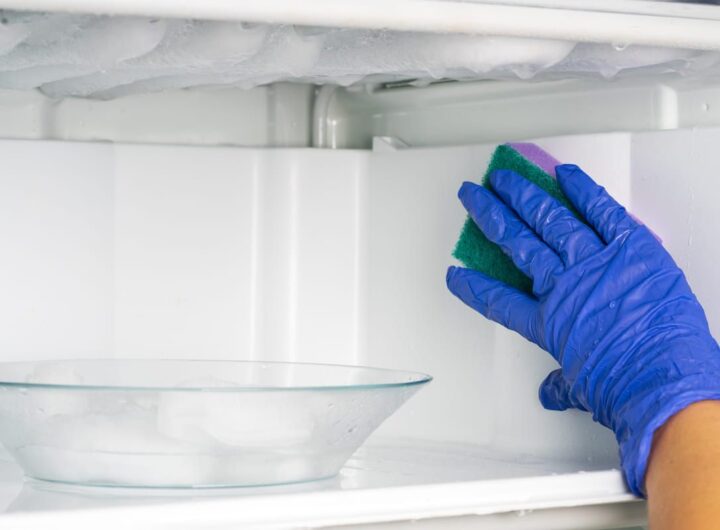 Prima di partire per le vacanze, metti questo in freezer