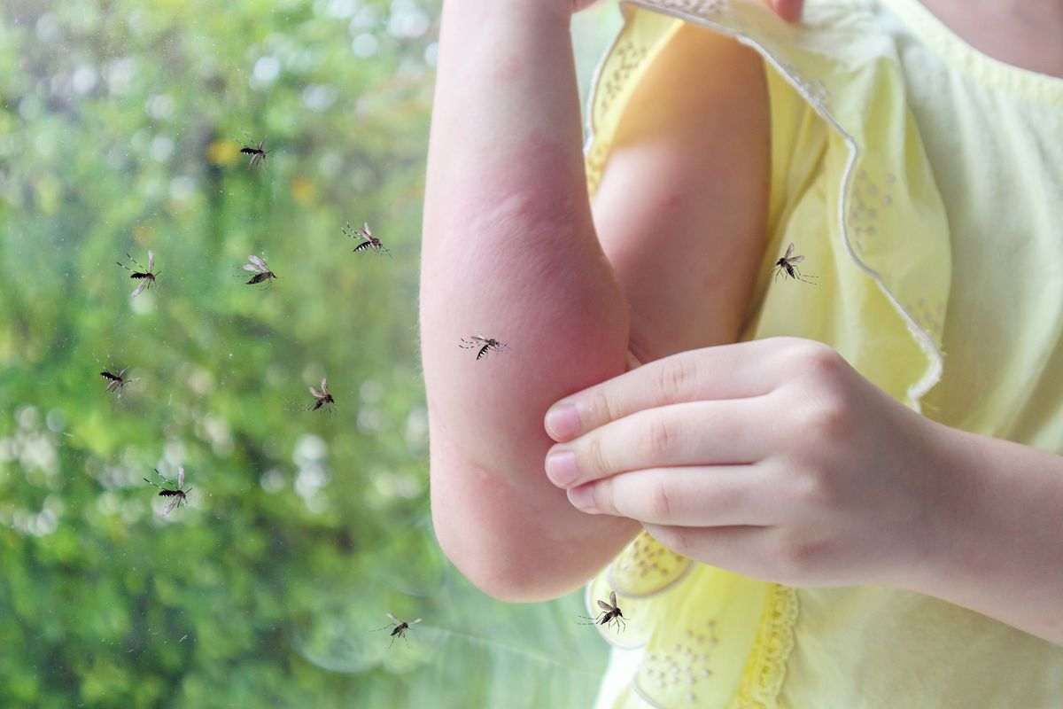i 9 rimedi "anti-zanzara" che funzionano davvero